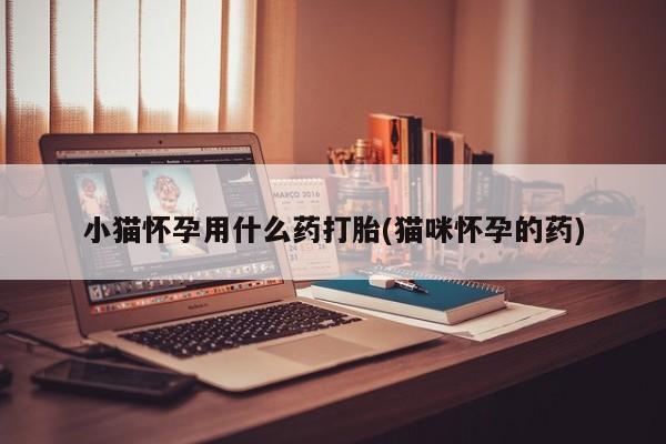 私人卖打胎药联系方式小猫怀孕用什么药打胎(猫咪怀孕的药)