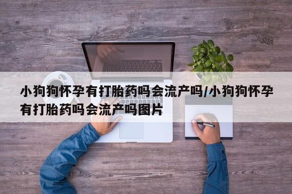 私人卖打胎药联系方式小狗狗怀孕有打胎药吗会流产吗/小狗狗怀孕有打胎药吗会流产吗图片