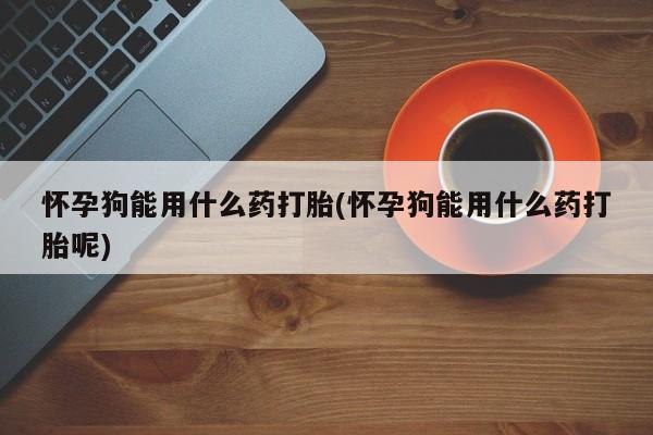 私人卖打胎药联系方式怀孕狗能用什么药打胎(怀孕狗能用什么药打胎呢)